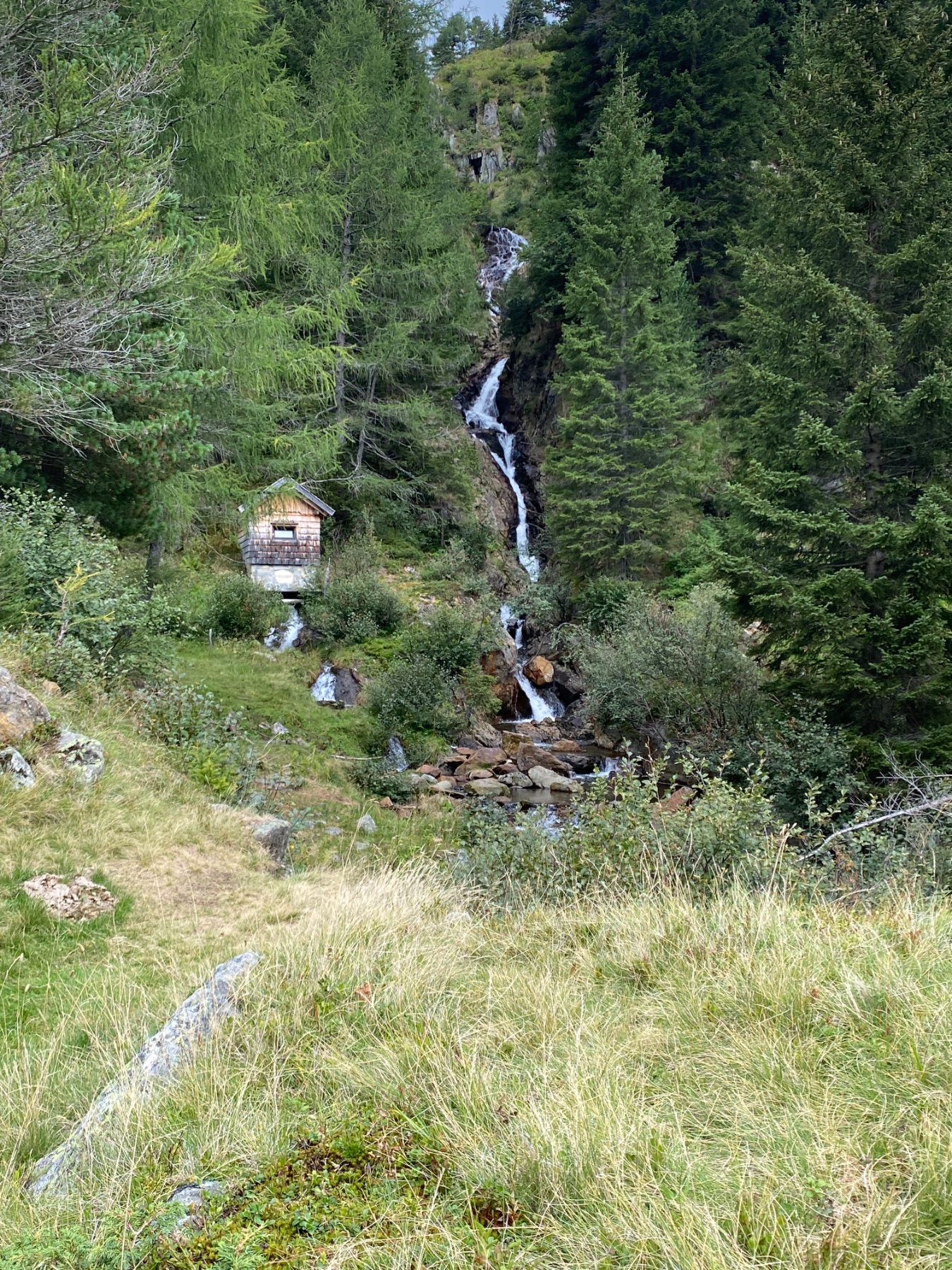 Tagesfoto der Hölzler Hütte