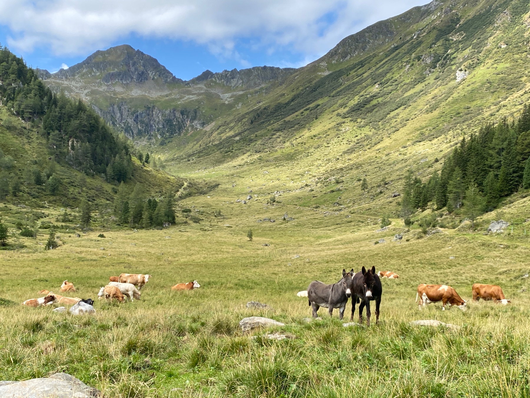 Tagesfoto der Hölzler Hütte