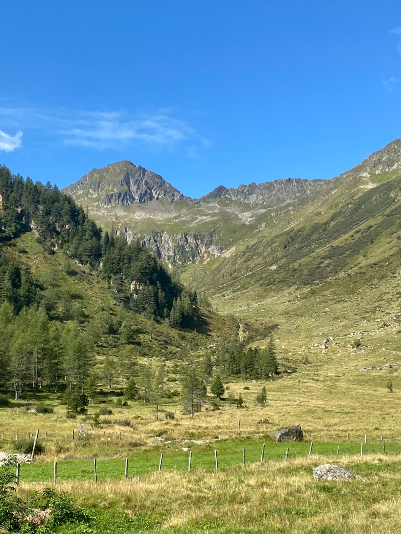 Tagesfoto der Hölzler Hütte