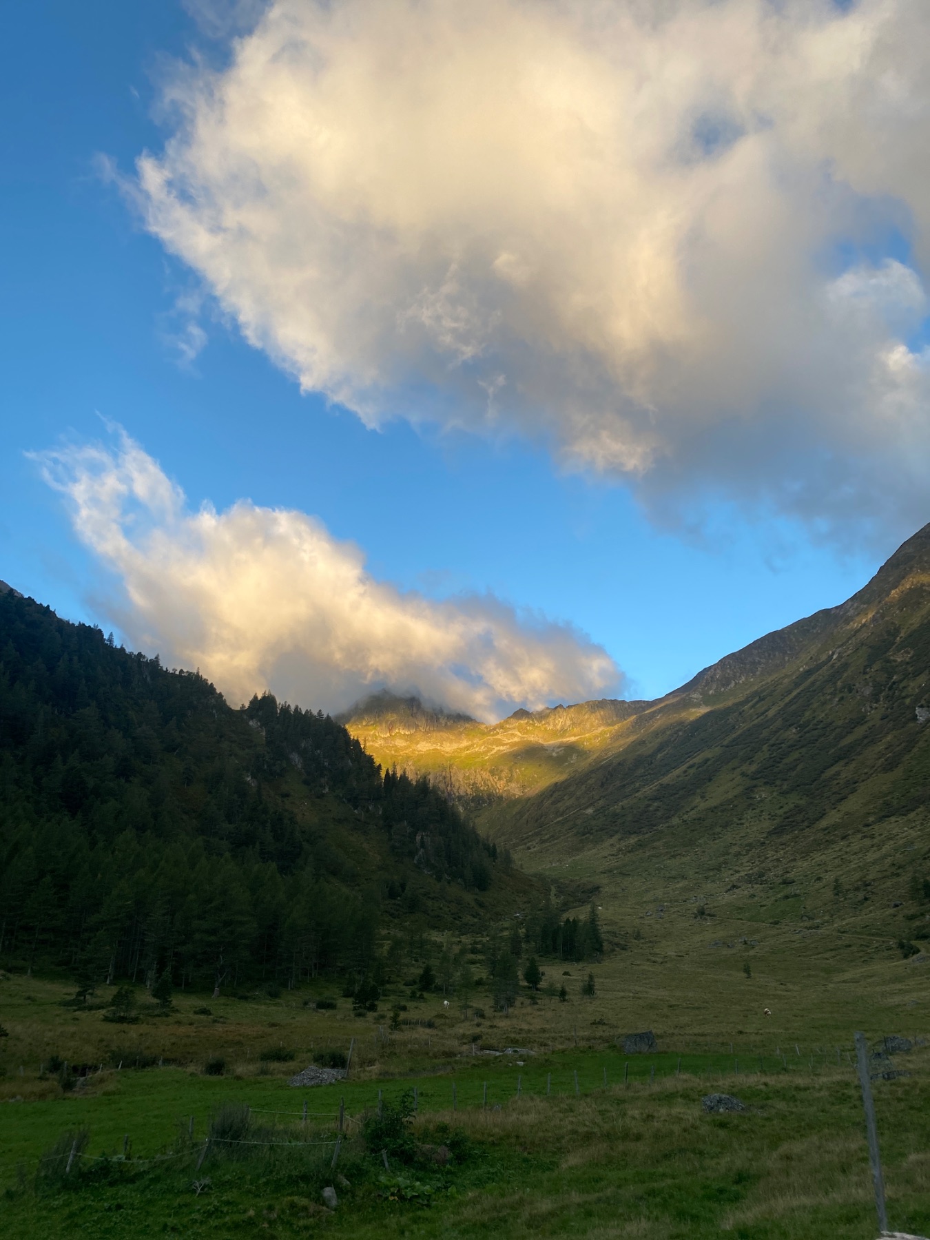 Tagesfoto der Hölzler Hütte