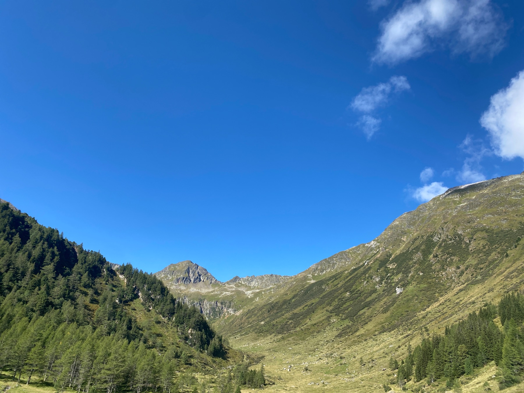 Tagesfoto der Hölzler Hütte