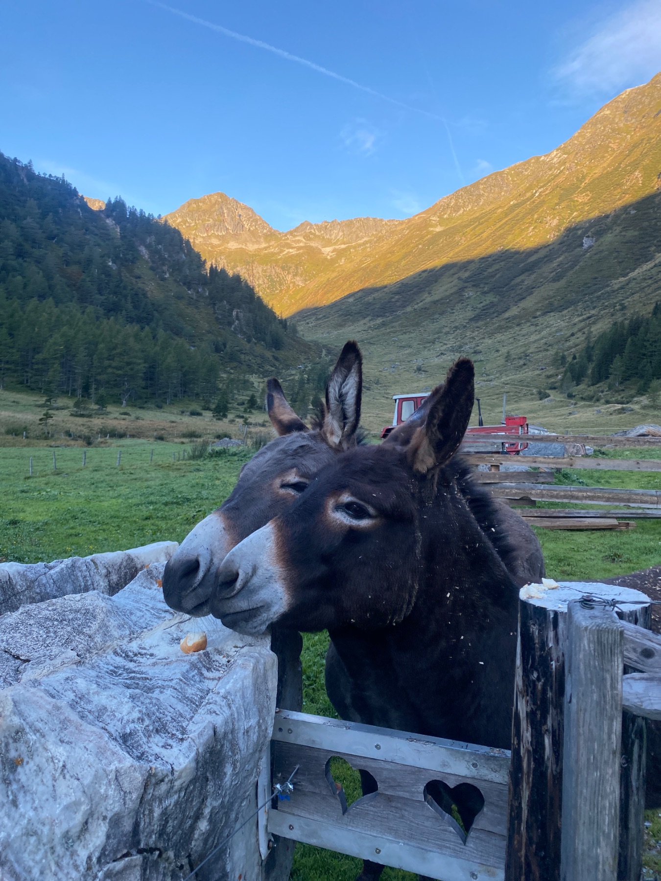 Tagesfoto der Hölzler Hütte