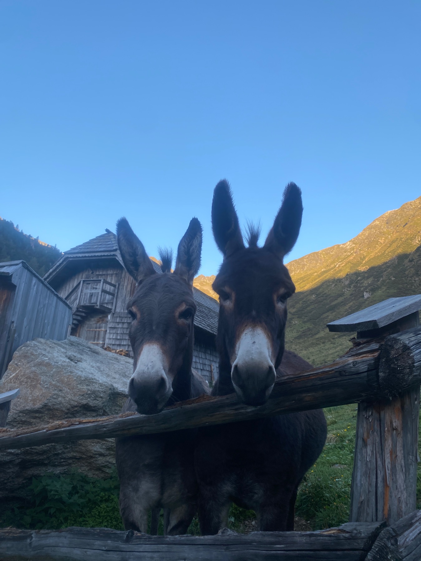 Tagesfoto der Hölzler Hütte